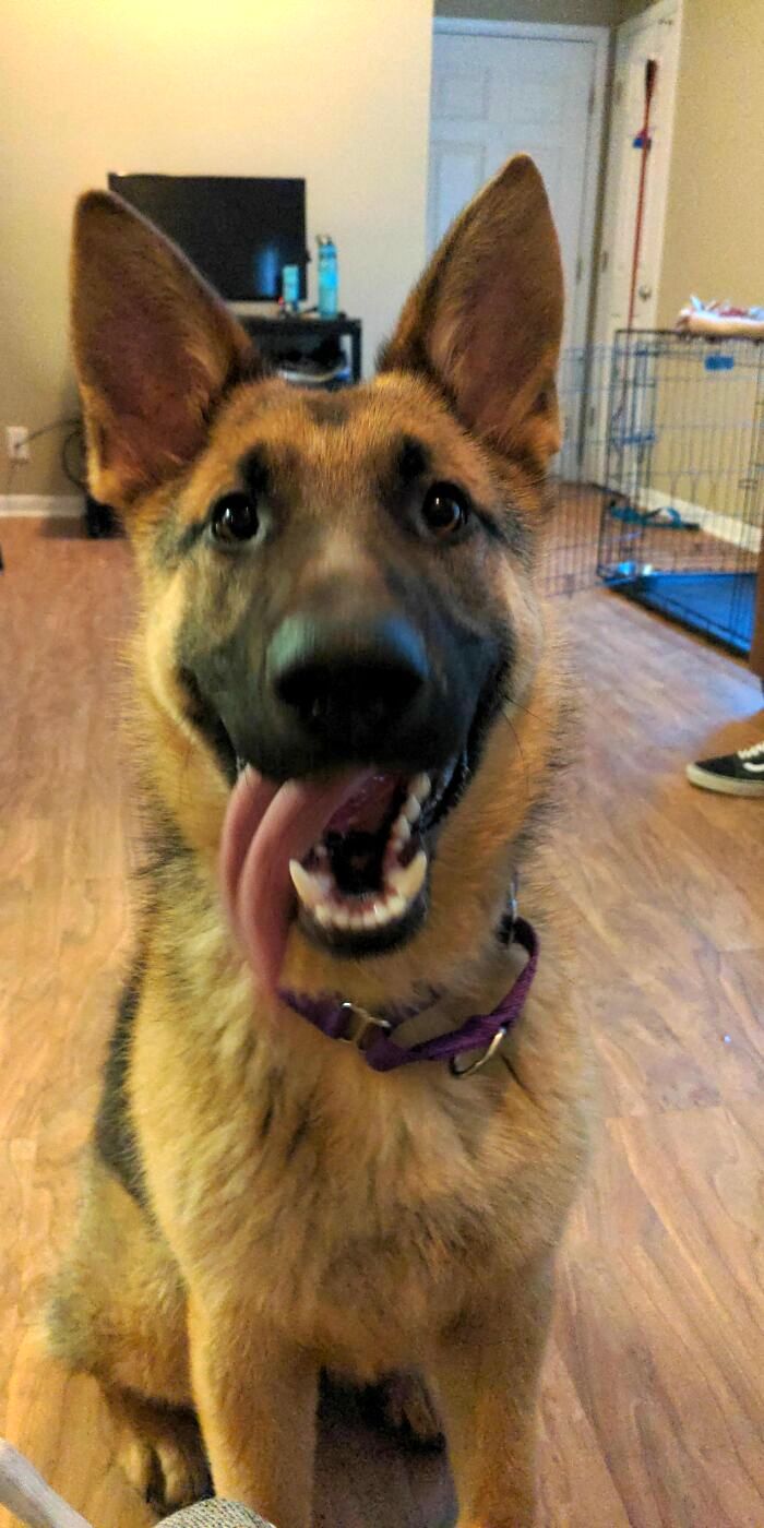 04-12-30-16196886311384930743