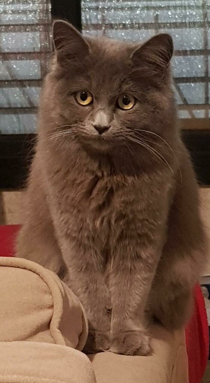 04-12-30-16196886312005679745