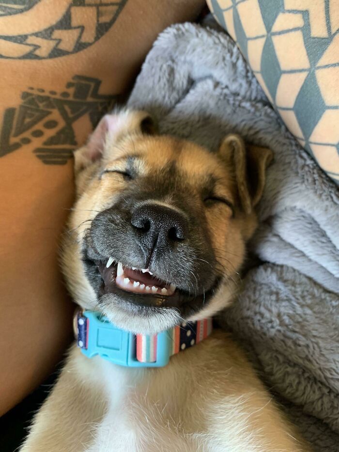 04-12-30-1619688631383561756