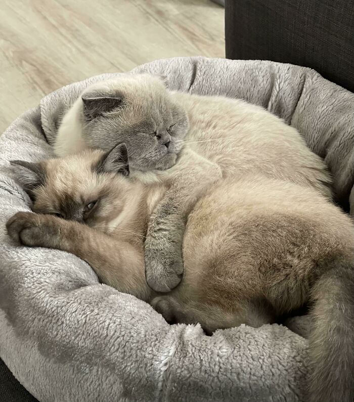 04-12-30-1619688632979027121