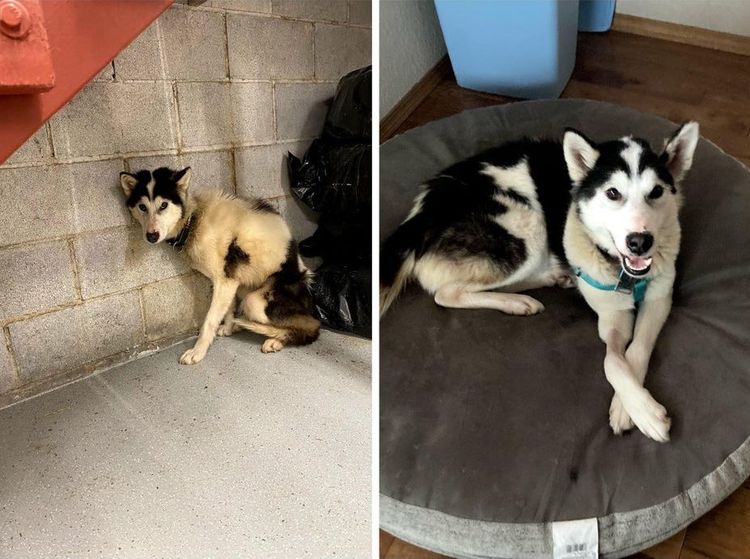 04-12-30-16196886331529445895