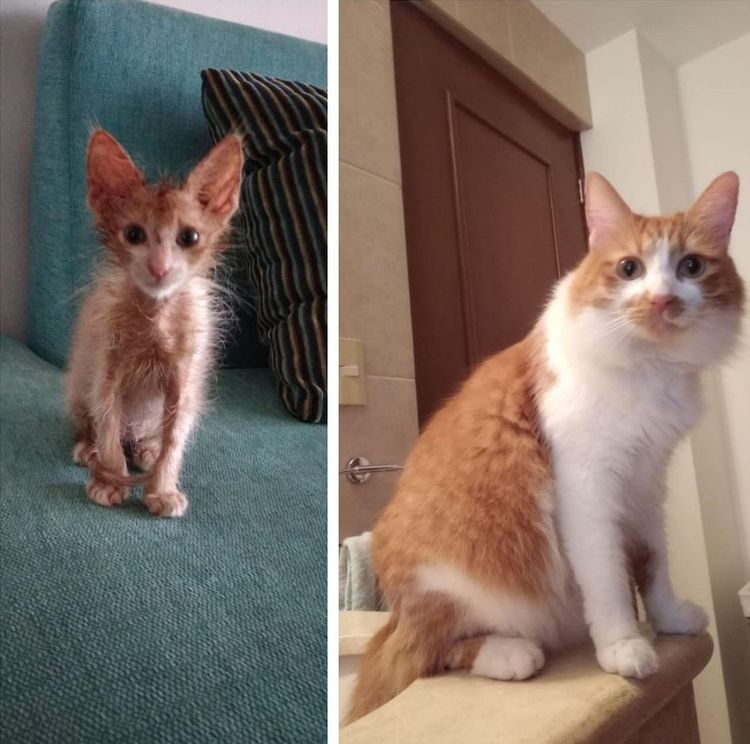 04-12-30-1619688633647432242