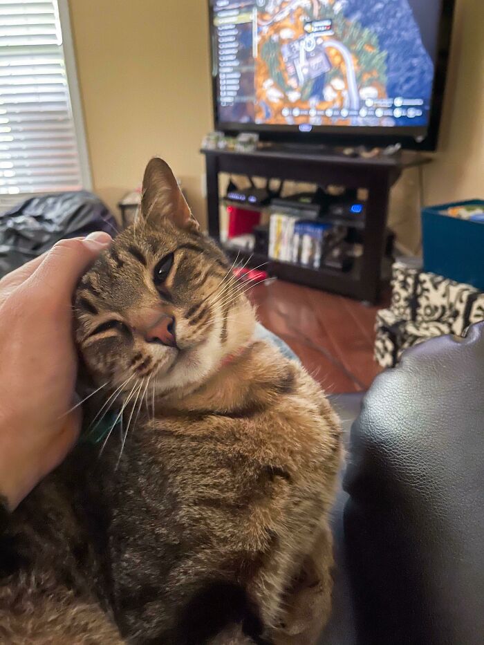 04-12-30-1619688634919493092