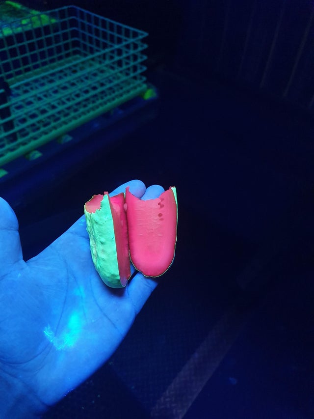 04-12-44-1618825471960277293