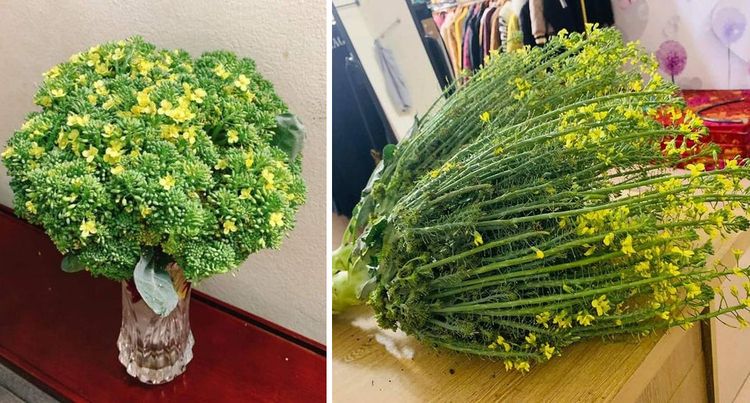 04-12-44-16188254781250705964