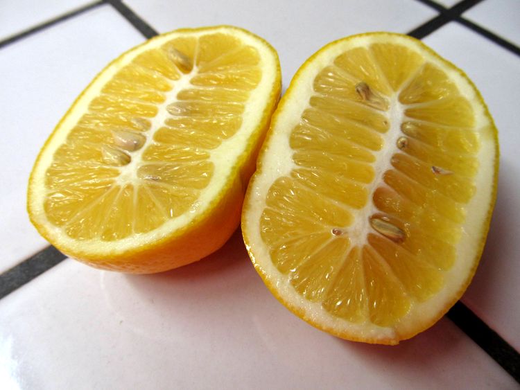 04-12-44-16188254891093913405