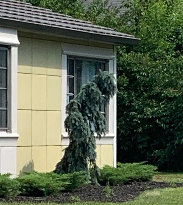 04-12-45-161882552123829628