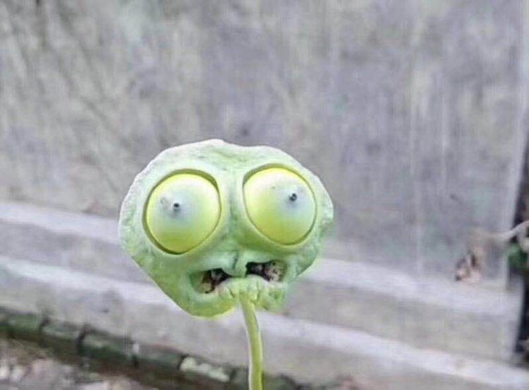 04-12-45-1618825529399612033