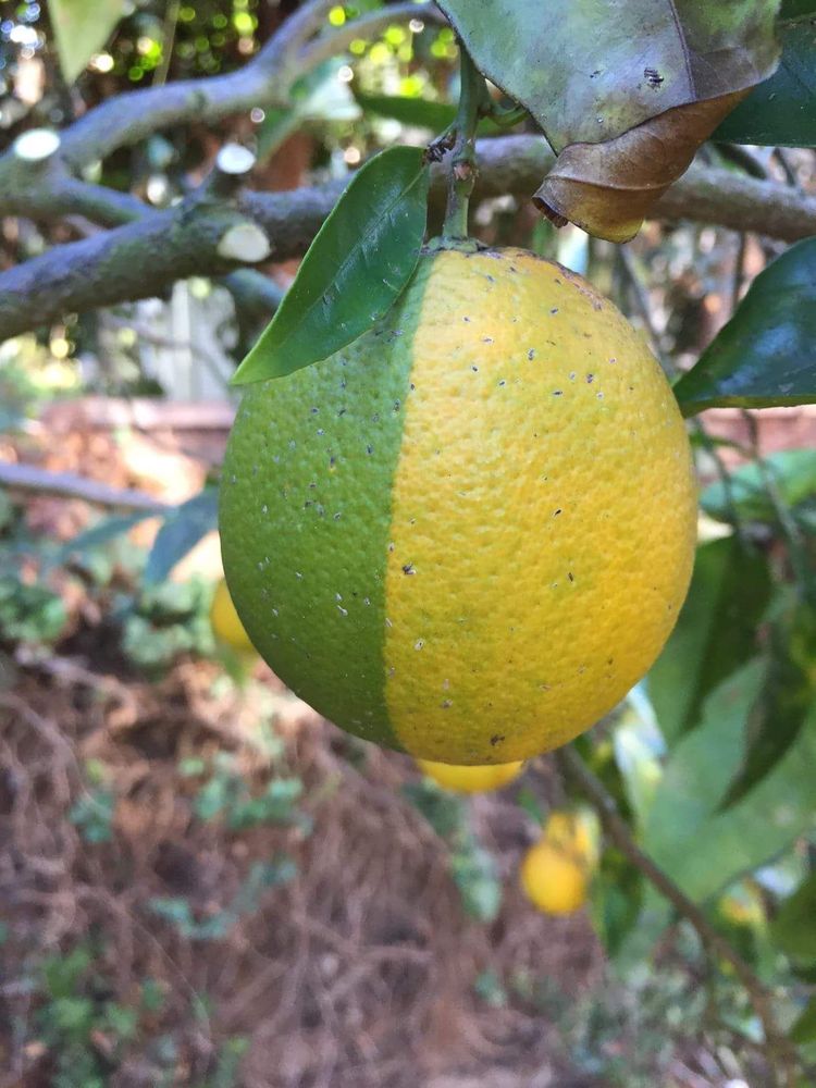 04-12-45-16188255341303624902