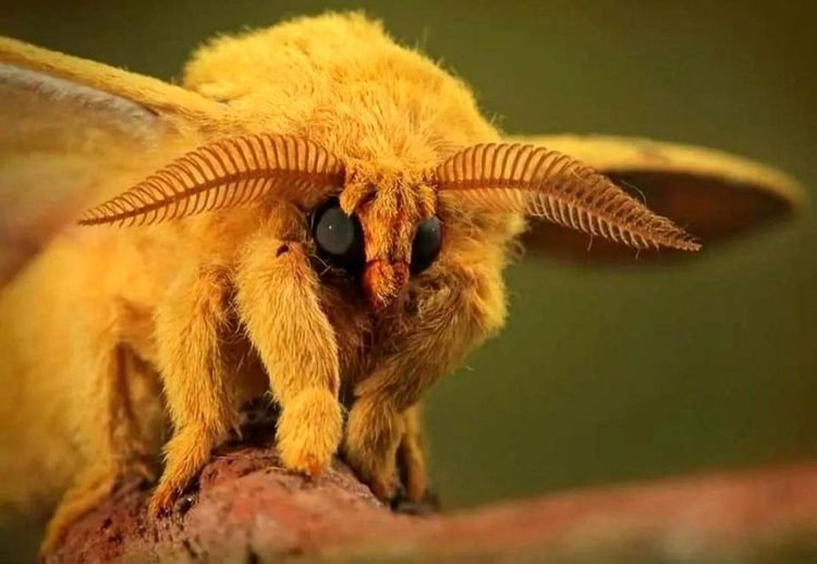 04-13-16-16192594031592817779