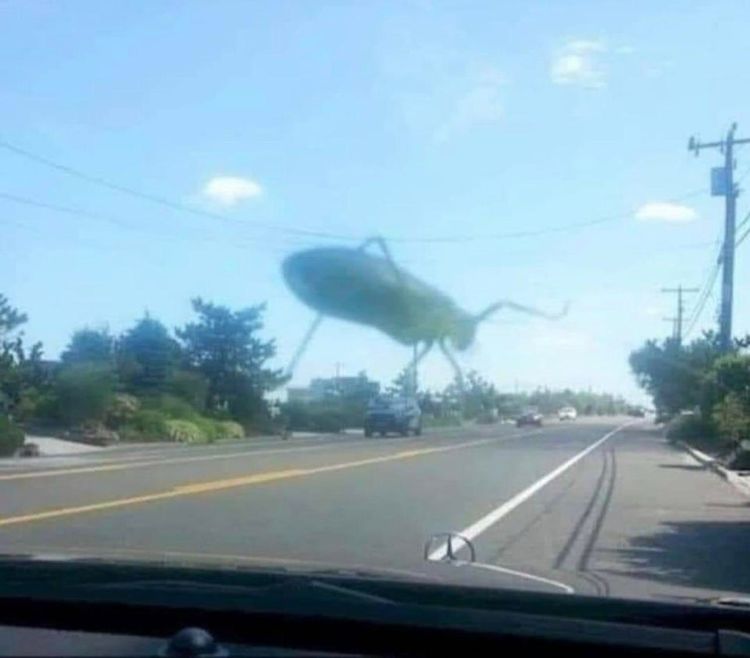 04-13-23-16190006241493656835