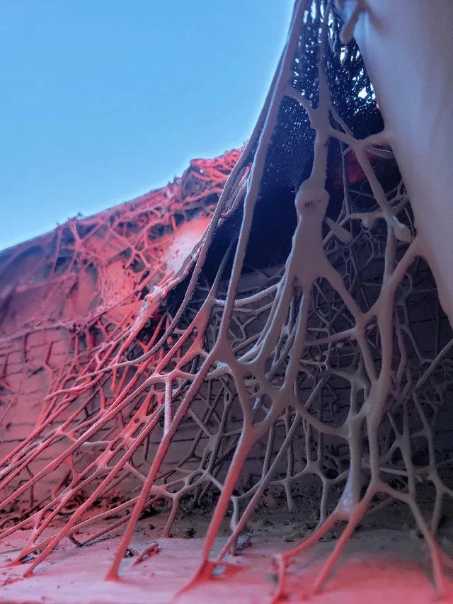 04-13-23-16190006321968084134