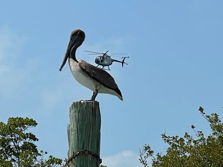 04-13-24-16190006741004570452