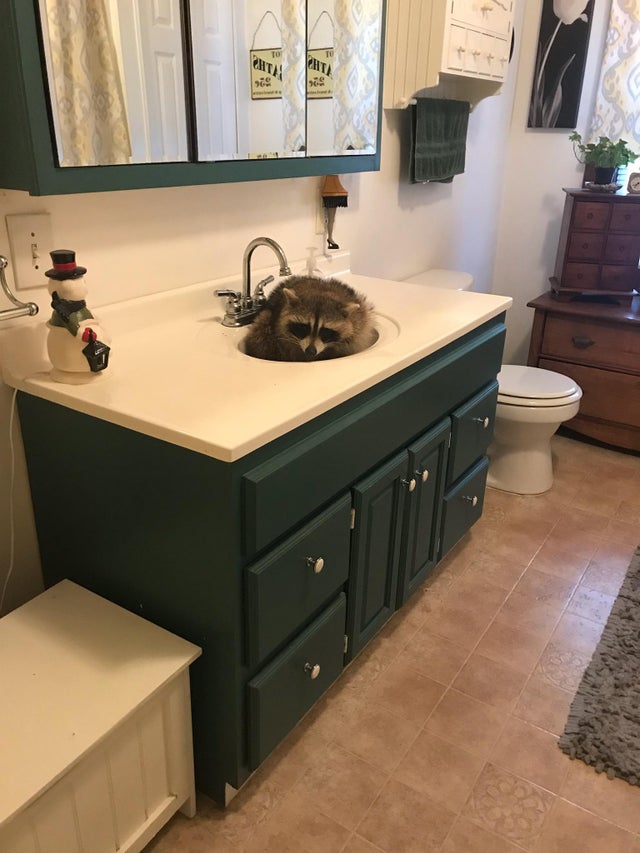 04-13-46-16188292061519213165