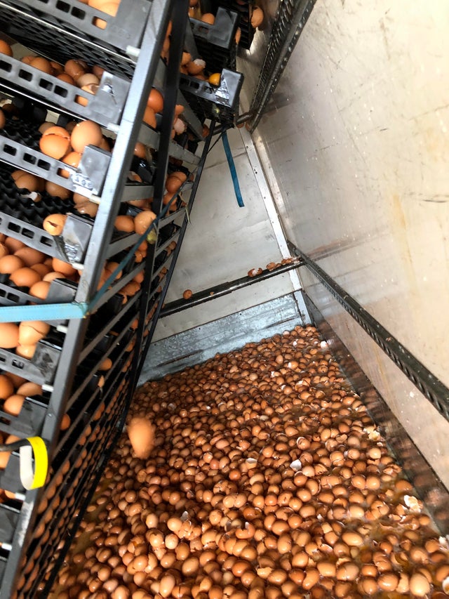 04-14-32-16190911311466081952