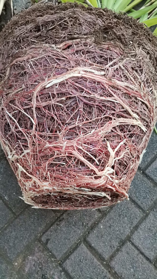 04-14-33-16189184241233283885