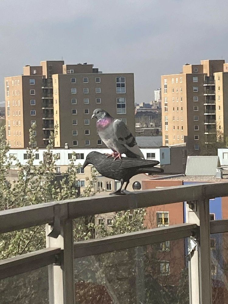 04-14-41-1619782893182821356