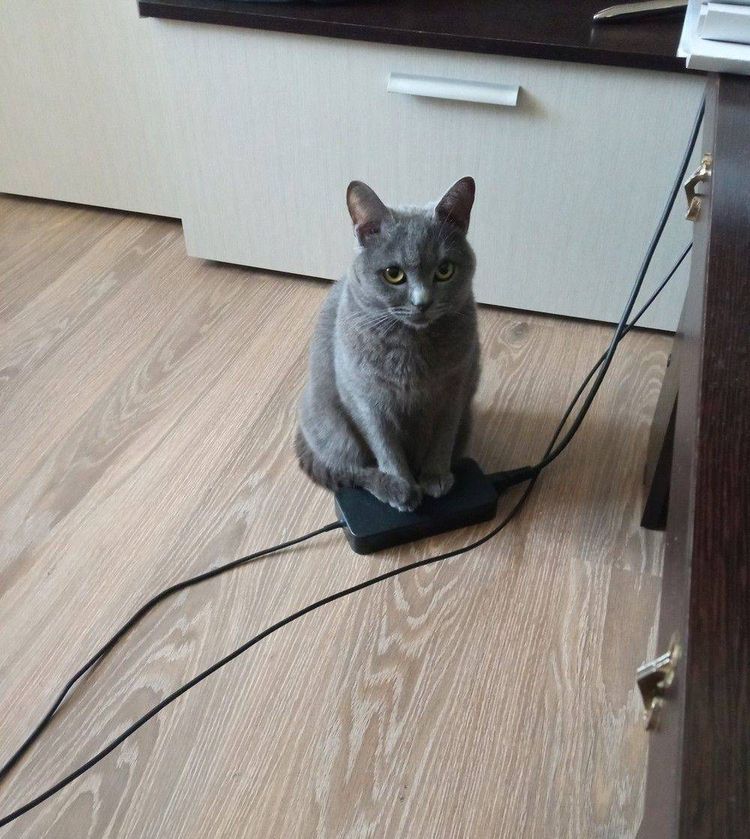 04-14-41-16197828931982220129