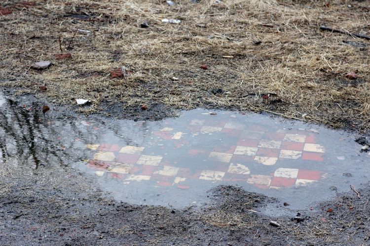 04-14-45-16190055211570720043