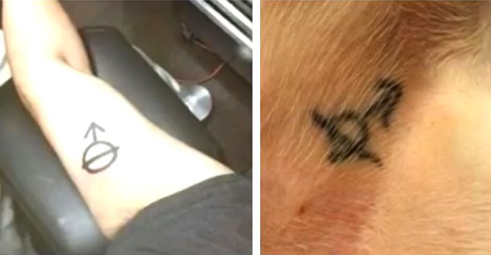 04-15-04-1619093043496951426