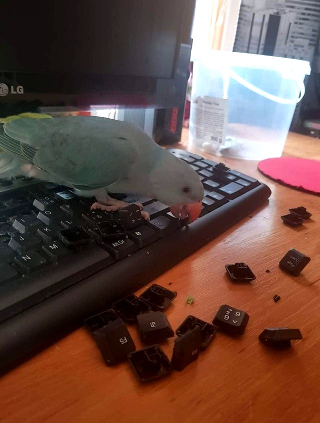 04-15-04-1619093060835914567