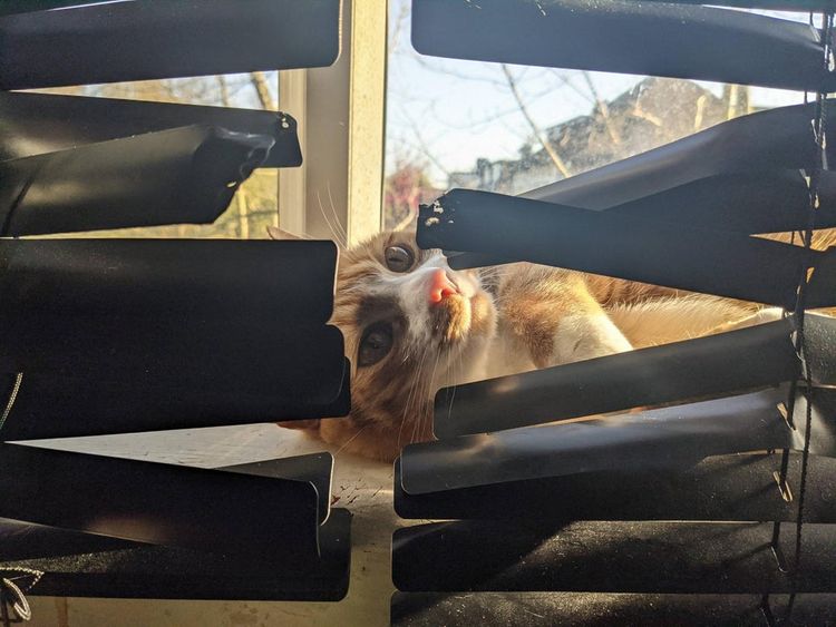 04-15-36-16197861631362096901