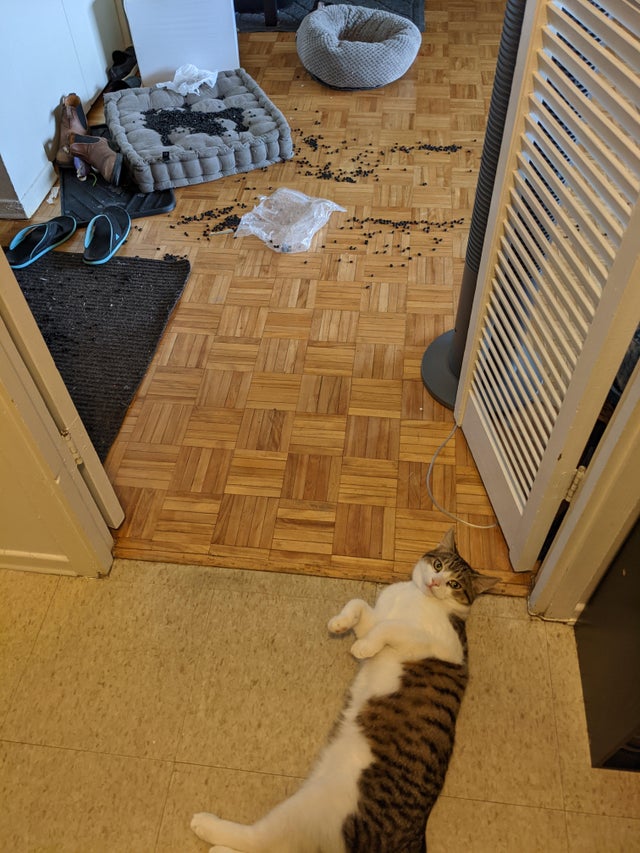 04-15-36-16197861651248651558