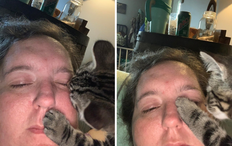 04-15-36-1619786178628468548