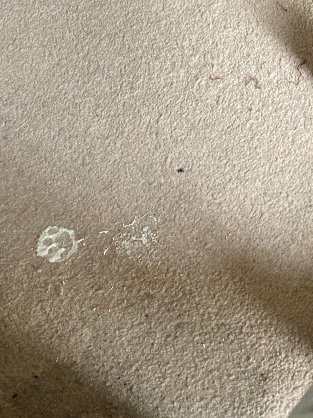 04-15-36-1619786191987161920