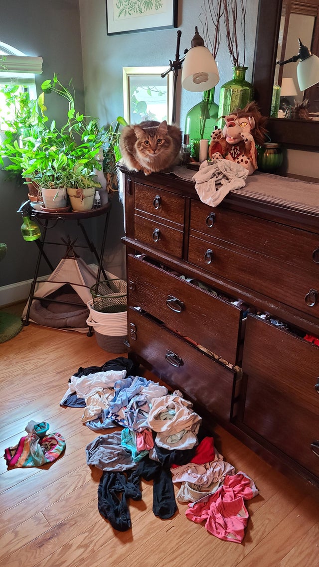 04-15-36-1619786214255984813