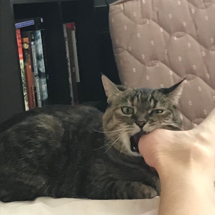 04-15-37-1619786254302567249