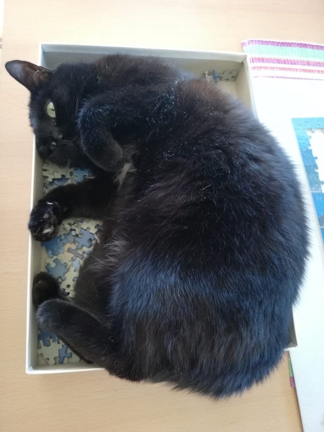 04-15-37-161978626257293101