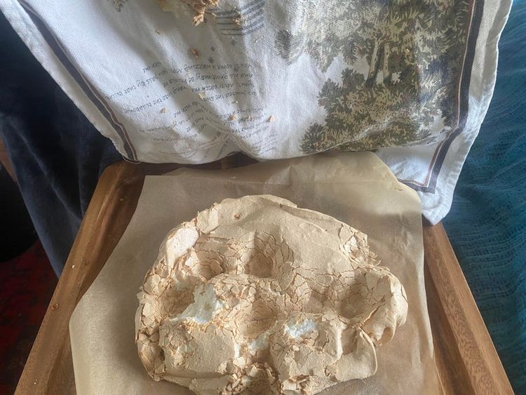 04-15-37-16197862651380664013