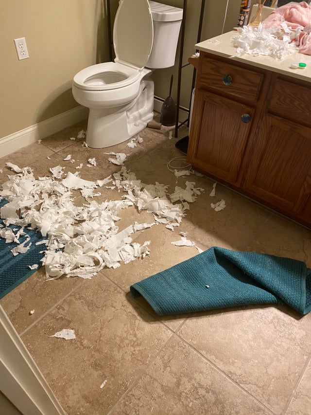 04-15-37-16197862751340151029