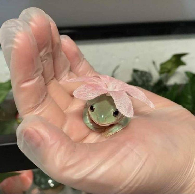 04-15-44-1618577064236432228