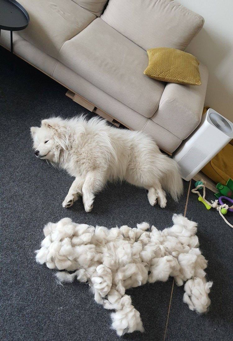 04-15-44-161857706447856965