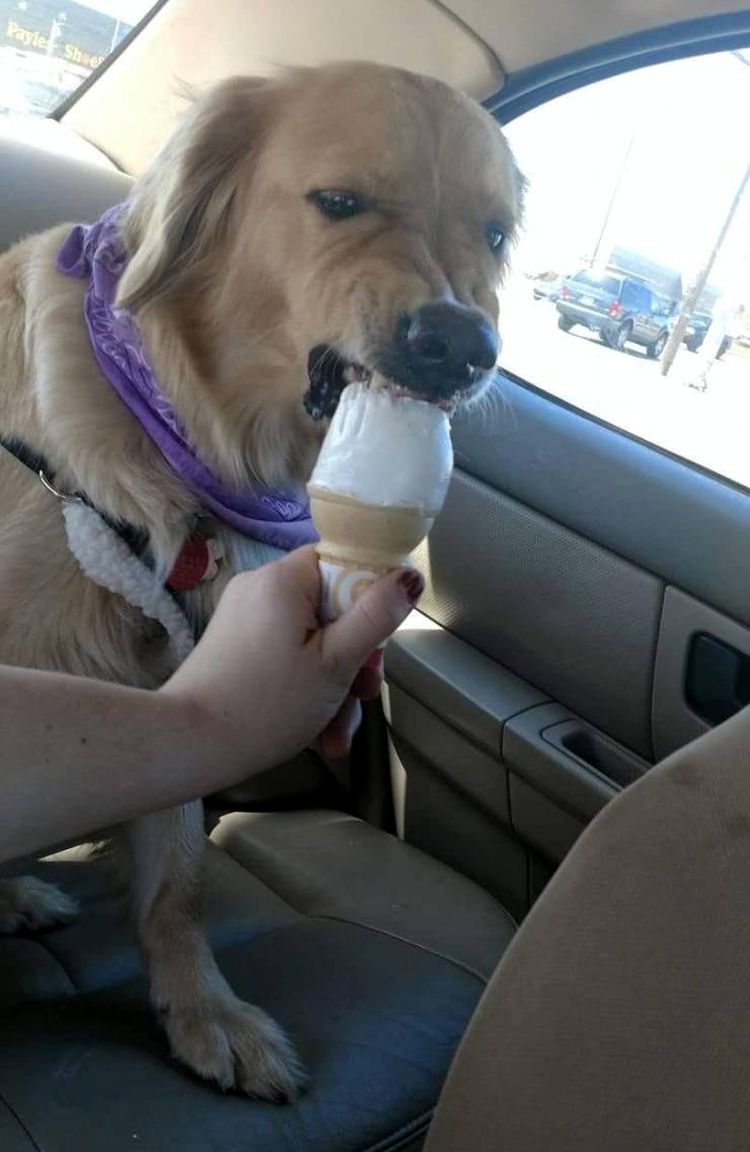 04-15-44-1618577064520131835