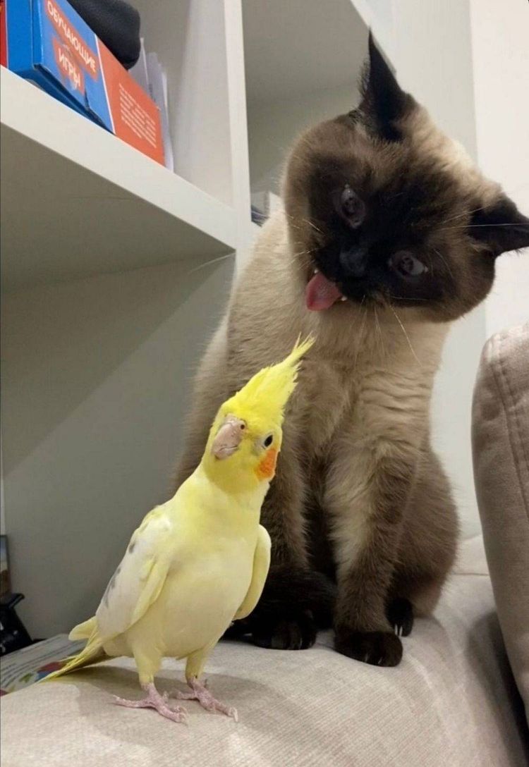 04-15-44-1618577066262986126