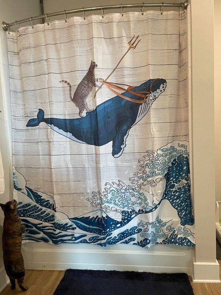 04-15-55-161857772359132556