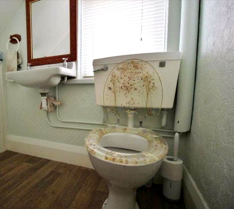 04-15-56-16197010151127190438