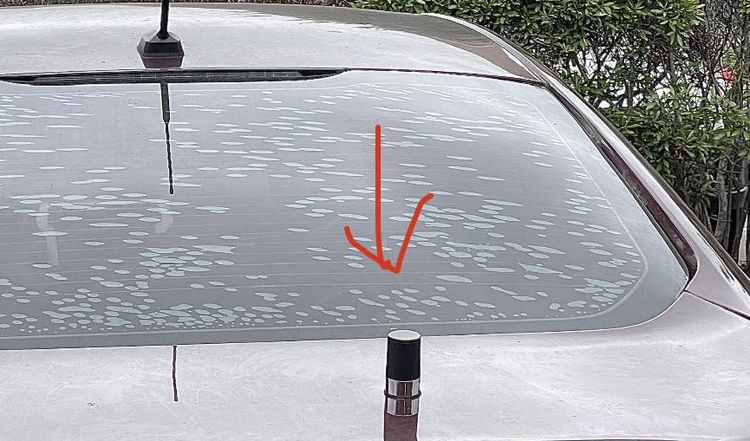 04-16-05-16188375222003087209