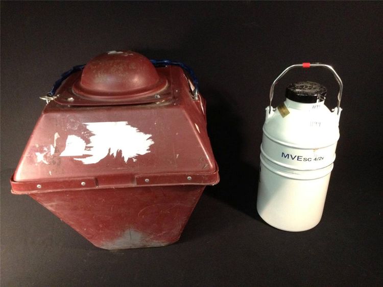 04-16-05-1618837524698724515