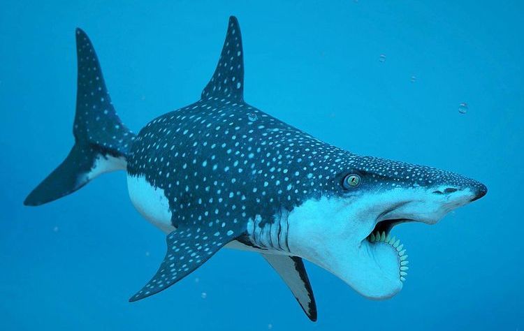 04-16-07-16185784561775049718