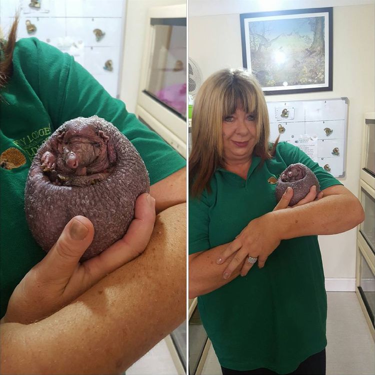 04-16-36-16185801781323096465