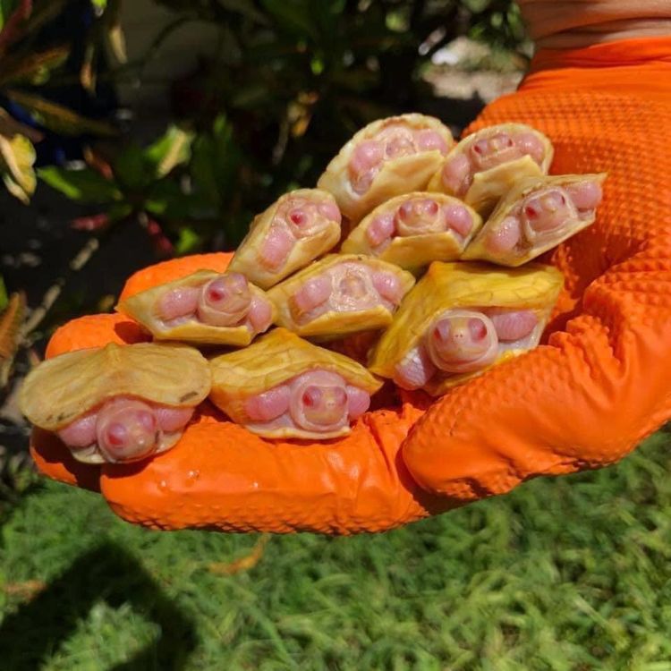 04-16-36-16190985632141719964