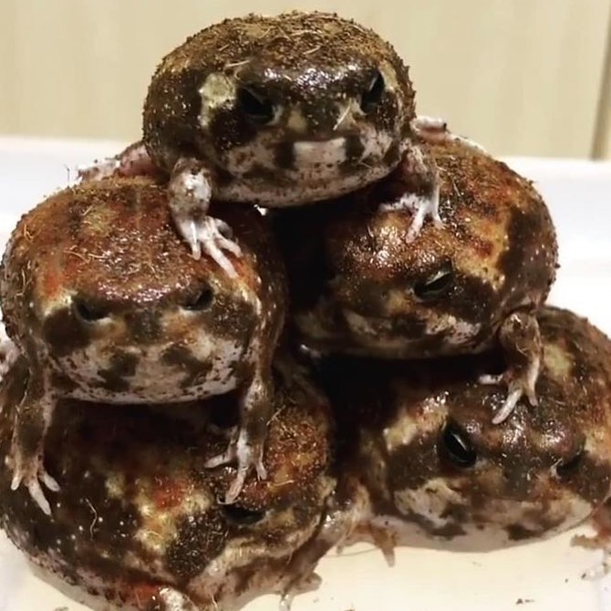 04-16-36-16190986131217473904