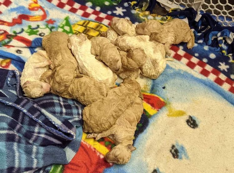 04-16-37-1619098633969593584