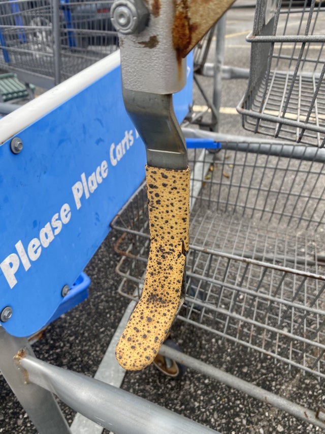 04-16-37-1619098636156700744