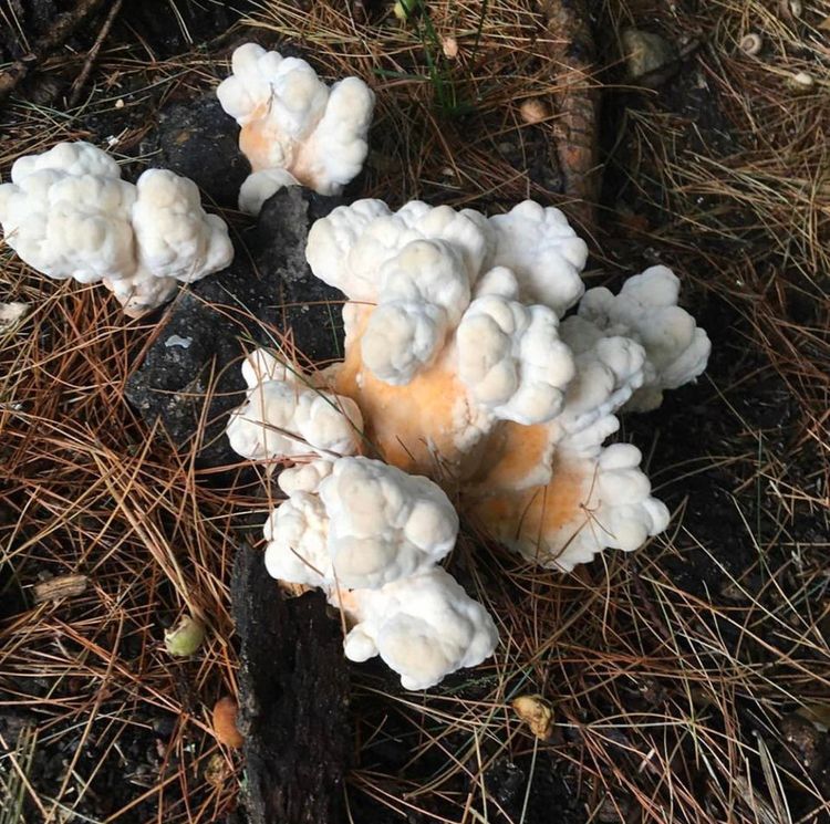 04-16-37-1619098641448809391