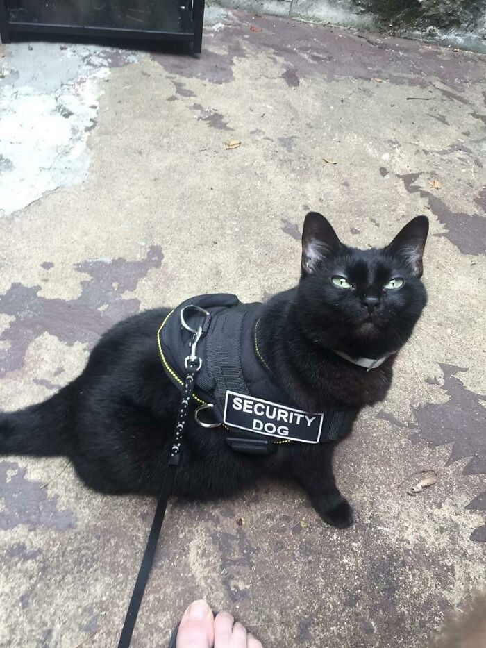 04-16-39-16196171661291358150